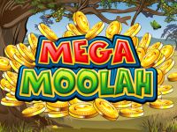 Mega Moolah Slot 